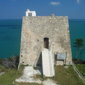 Torre Monte Pucci